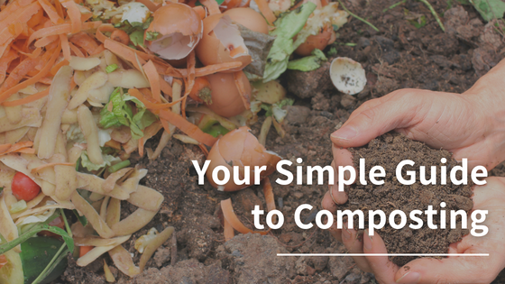 Your Simple Guide to Composting