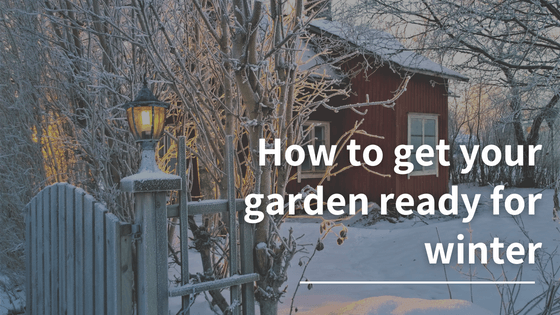 How to get your garden ready for winter