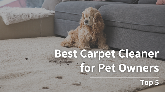 Best Carpet Cleaner for Pet Owners – Top 5