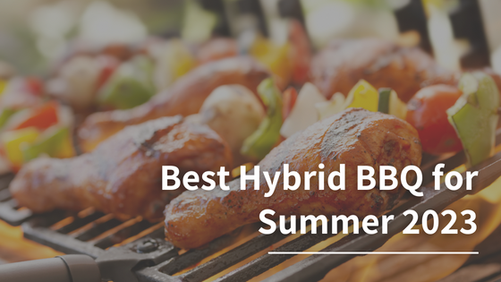 Best Hybrid BBQ for Summer 2023