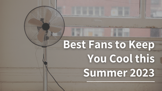 Best Fans to Keep You Cool this Summer 2023